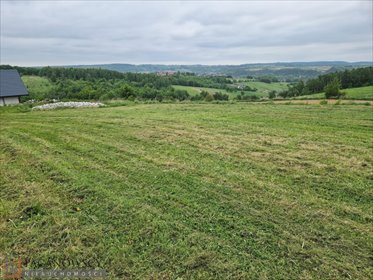 działka na sprzedaż 2512m2 działka Kozierów