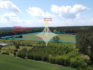 działka na sprzedaż 50000m2 działka Bolesławiec, Generała Augusta Emila Fieldorfa "Nila"