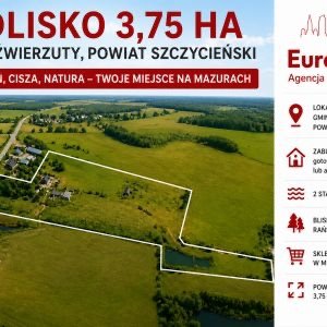 Przestronna działka 3,75 ha z stawami i potencjałem działka Dźwierzuty
