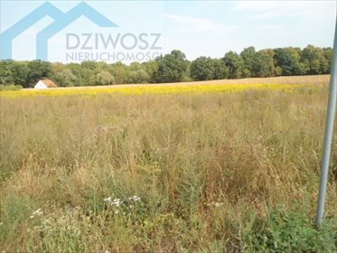 działka na sprzedaż 1680m2 działka Mirosławice