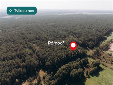 Na sprzedaż las sosnowy 6705 m² w Modzele-Skudosze działka Modzele-Skudosze