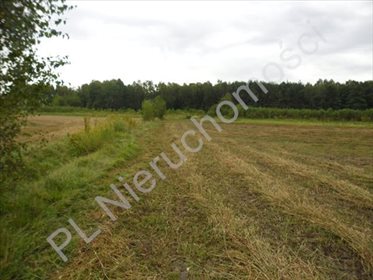 Działka rolna na sprzedaż Wólka-Konstancja 25 520m2 Foto 6