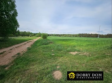 Zapraszam do zakupu działki 3012 m² z warunkami zabudowy działka Saki