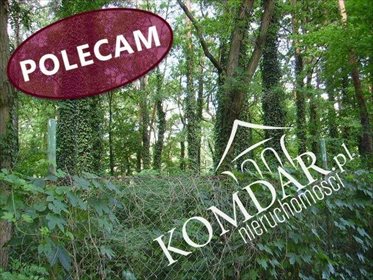 działka na sprzedaż 3239m2 działka Podkowa Leśna, Podkowa Leśna Wschodnia