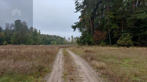 Działka rolna na sprzedaż Podlindowo 120 718m2 Foto 6