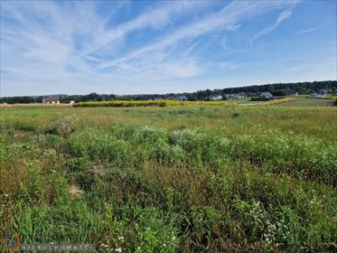 działka na sprzedaż Masłomiąca 800 m2