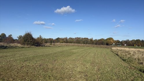 działka na sprzedaż 1316m2 działka Lędzin