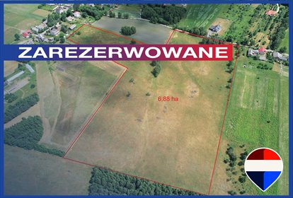 Działka inwestycyjna 6,88 ha w Jurze Krakowsko-Częstochowskiej działka Zawierciański, Łąki