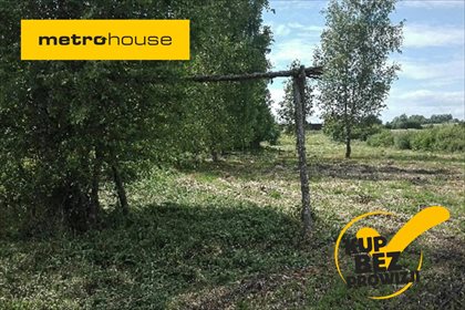 Działka rolna na sprzedaż Pierwągi, Jeziorany 5 991m2 Foto 1