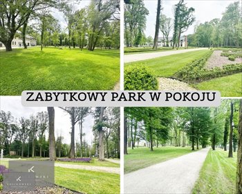 Dom wolnostojący 234 m² - duża działka 28 arów w Pokój dom Namysłów, gmina Pokój