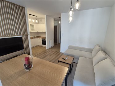 mieszkanie na wynajem 40m2 mieszkanie Katowice, Śródmieście, Opolska