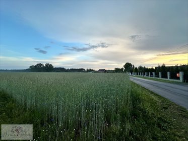 działka na sprzedaż 1000m2 działka Dziewuliny