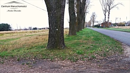 Działka rolna na sprzedaż Kokocko 16 500m2 Foto 3
