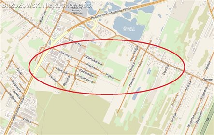 działka na sprzedaż 21900m2 działka Ciemne