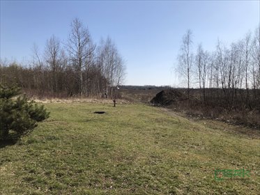działka na sprzedaż 10700m2 działka Bytom, Magdaleny