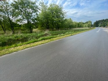 działka na sprzedaż 6059m2 działka Nisko, Barce, Konwaliowa
