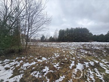 działka na sprzedaż 1211m2 działka Marylka