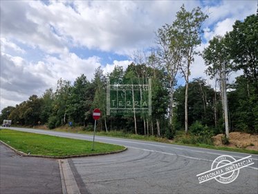 działka na sprzedaż 6037m2 działka Nowogród Bobrzański