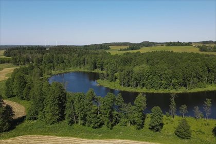 Działka rolna na sprzedaż Malinka, Wydminy 155 400m2 Foto 6