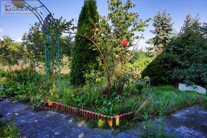 Działka 800 m² z domkiem i tarasem - polecam! działka Piła, Dolaszewo