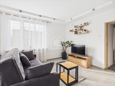 mieszkanie na wynajem 39m2 mieszkanie Toruń, Bażyńskich