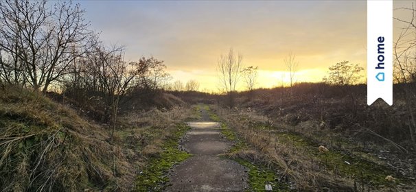 Działka usługowa 5000 m² w Wysokiej - zapraszam działka Wysoka, Lipowa