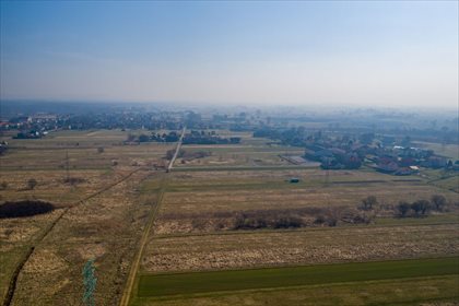Działka rolna na sprzedaż Gromiec, Dragonów 846m2 Foto 6