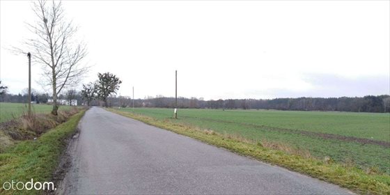 Działka budowlana na sprzedaż Wełna 1 000m2 Foto 5