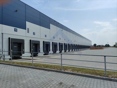 Magazyn 7 000 m² w Błoniu, nowoczesne hale i doki - polecam! magazyn Błonie