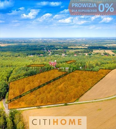 Działka budowlana na sprzedaż Kopanka 33 051m2 Foto 1