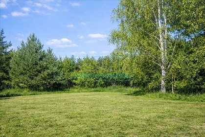 działka na sprzedaż 1300m2 działka Jastrzębnik