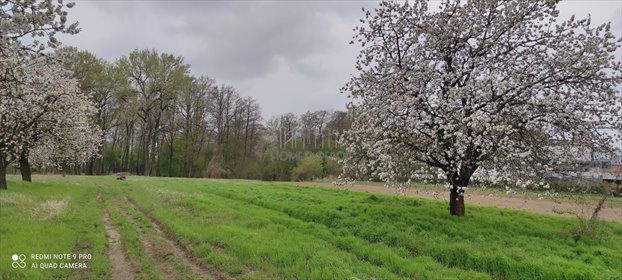 działka na sprzedaż 2168m2 działka Okrzeszyn