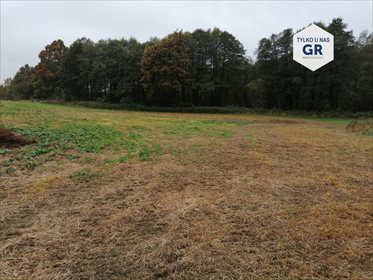 działka na sprzedaż 51926m2 działka Mały Klincz