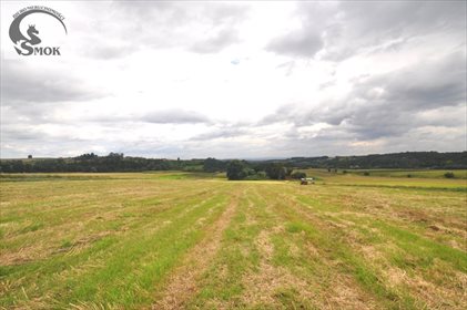 działka na sprzedaż 17500m2 działka Książniczki