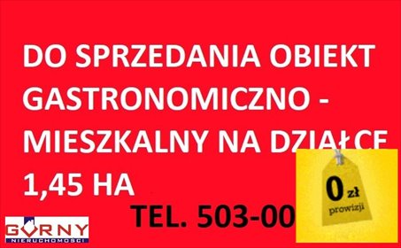 lokal użytkowy na sprzedaż 351m2 lokal użytkowy Mzurki, Budków
