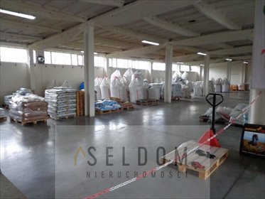 lokal użytkowy na wynajem 700m2 lokal użytkowy Prószków