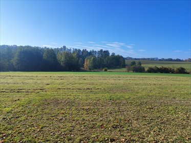 działka na sprzedaż 2630m2 działka Mikołów, Mikołów