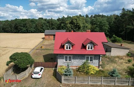 Dom z dużą działką 3,83 ha, potencjał inwestycyjny dom Michałów Trzeci