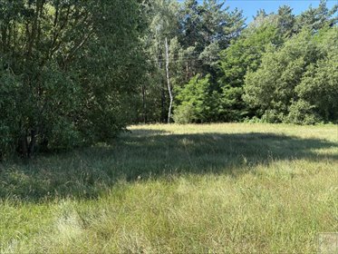 działka na sprzedaż 70000m2 działka Osowo Stare