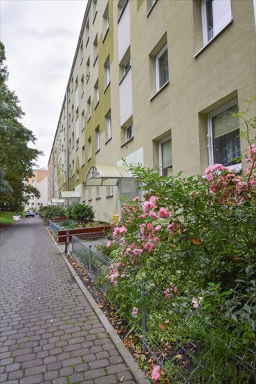 mieszkanie na wynajem 35m2 mieszkanie Opole, Alojzego Dambonia