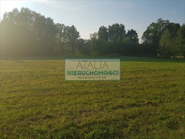 Działka 2000 m² w zielonej okolicy, uzbrojona, cicha działka Słubica Dobra