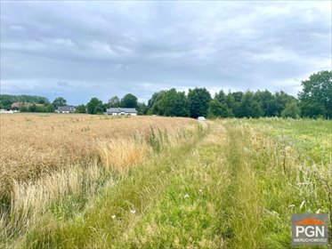 Do sprzedania działka 1115 m² w Trzebiatowie okolica działka Trzebiatów okolica