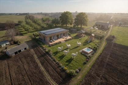 Dom do remontu z dużą działką 5208 m² – inwestycyjna okazja dom Jaroszewo-Wieś