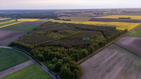 działka na sprzedaż 55000m2 działka Mochnate