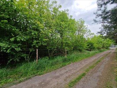 działka na sprzedaż 1616m2 działka Orzesze, Gardawice, Centralna