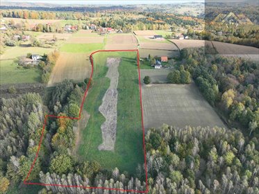 działka na sprzedaż 24500m2 działka Tuchów