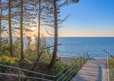 działka na sprzedaż 1999m2 działka Grzybowo