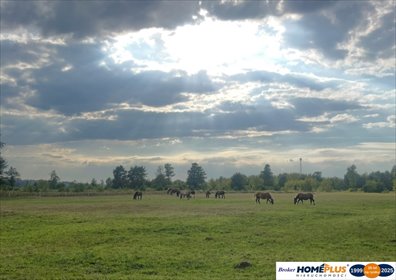 działka na sprzedaż 11604m2 działka Ruda