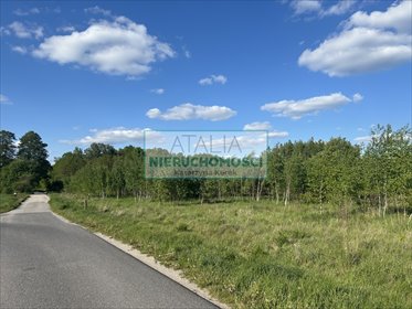Działka 9 900 m² w zielonych Budach Zosinych działka Jaktorów