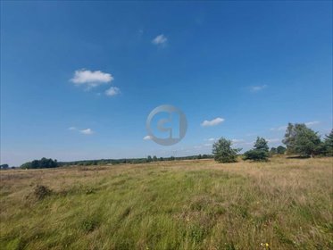 Polecam działkę budowlaną 886 m² z warunkami zabudowy działka Osiedle Poznańskie
